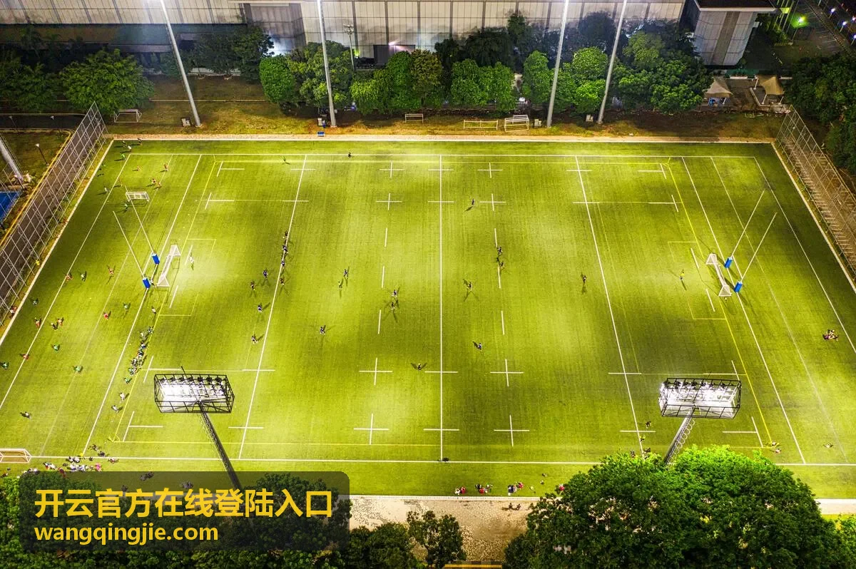 开云官方在线登陆入口常见问题说明配图