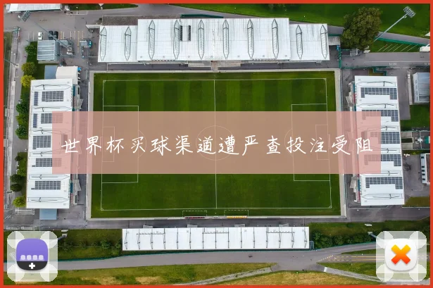 世界杯买球渠道遭严查投注受阻