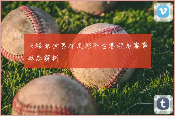 卡塔尔世界杯足彩平台赛程与赛事动态解析
