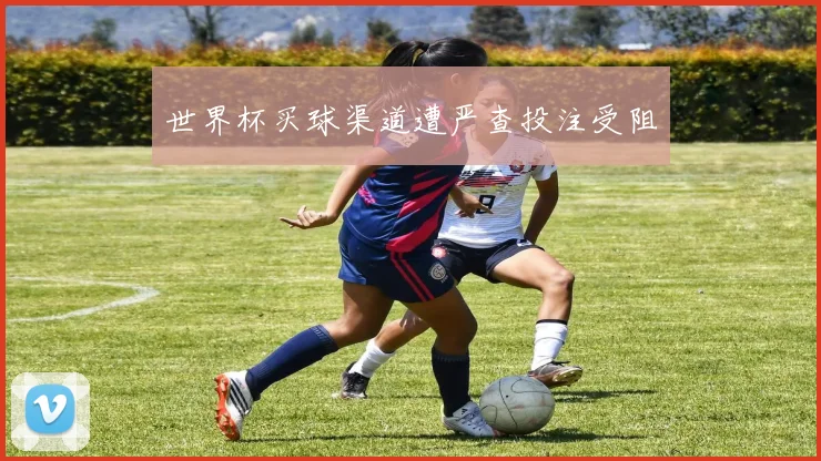 世界杯买球渠道遭严查投注受阻