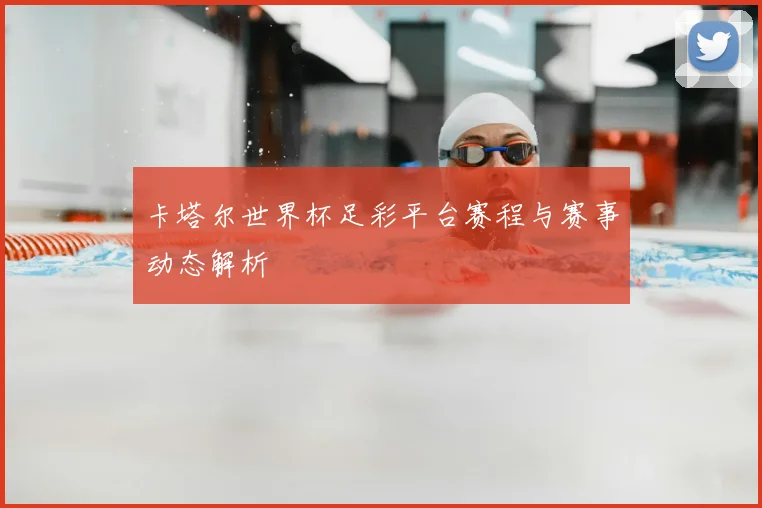 卡塔尔世界杯足彩平台赛程与赛事动态解析